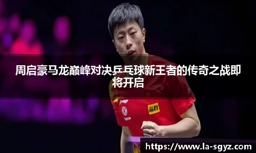 周启豪马龙巅峰对决乒乓球新王者的传奇之战即将开启